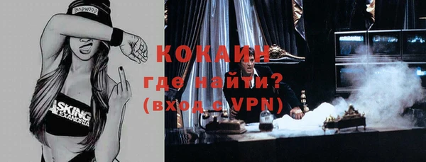 дживик Козельск